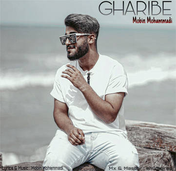 مبین محمدی غریبه